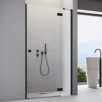Душевая дверь в нишу Radaway Essenza New Black DWJ 100 R