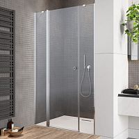 Душевая дверь в нишу Radaway EOS II DWJS 120 L