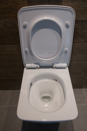 Унитаз подвесной Toto SP CW532Y с микролифтом фото 5