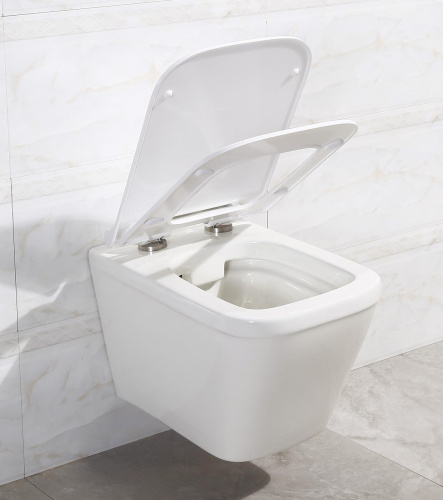 Крышка-сиденье BelBagno Dory BB2138SC с микролифтом фото 4