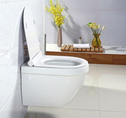 Унитаз подвесной BelBagno Cento-r BB509CH фото 9