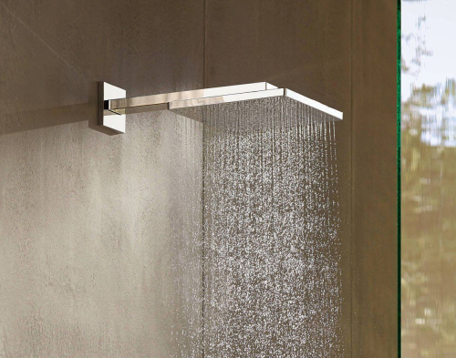 Верхний душ Hansgrohe Raindance E 26238000 фото 3