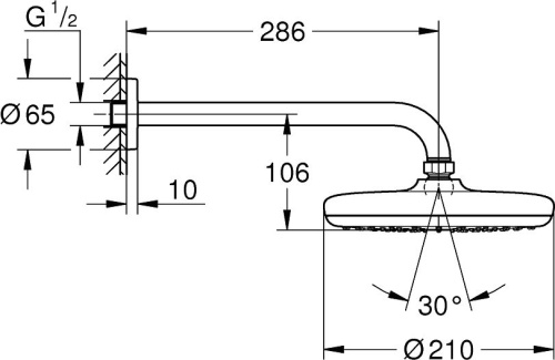 Верхний душ Grohe Tempesta 26412000 фото 3