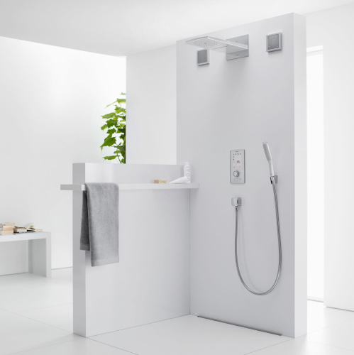 Душевая лейка Hansgrohe PuraVida 28558400 фото 2