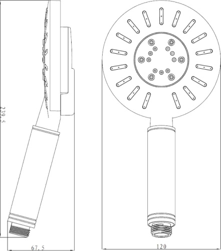 Душевая лейка Lemark LM0713C фото 2