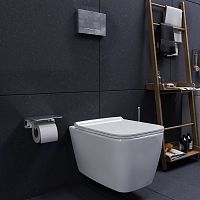 Унитаз подвесной Damixa Titan DX78C1700SC с микролифтом