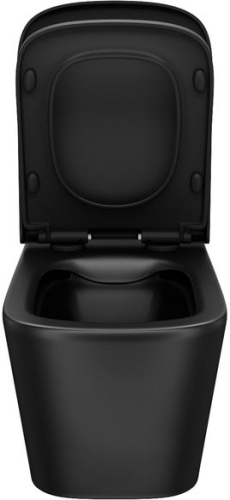 Унитаз подвесной IDDIS Bild BILR2BMi25 безободковый, с микролифтом фото 4