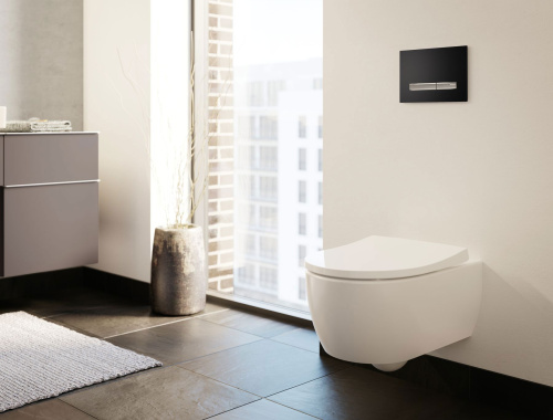 Комплект Geberit icon T54 Rimfree 500.362.TC.I фото 2