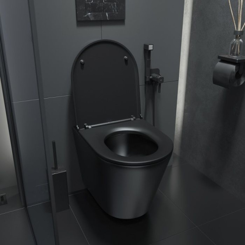 Унитаз подвесной IDDIS Calipso CALR3BMi25 безободковый, с микролифтом фото 5