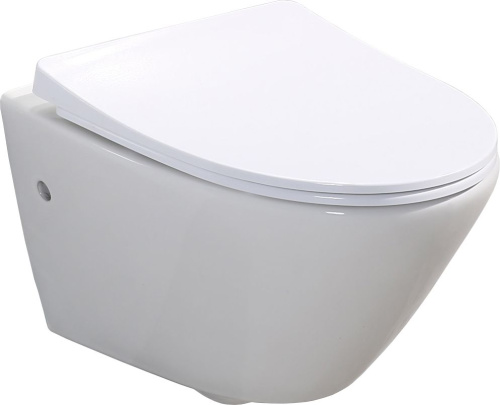 Крышка-сиденье BelBagno Alpha BB2177SC с микролифтом фото 6