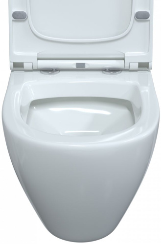Унитаз подвесной Berges Wasserhaus Okus 082127 с микролифтом фото 4