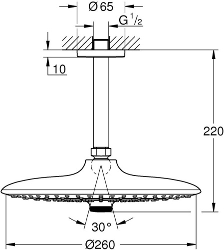 Верхний душ Grohe Euphoria SmartControl 26460000 фото 2
