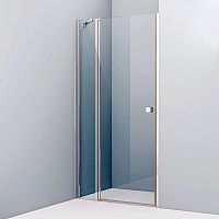 Душевая дверь в нишу IDDIS Ray RAY6CP0i69 100 см