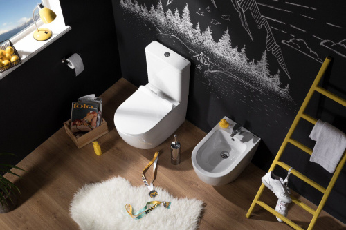 Унитаз-компакт Aquanet Cetus фото 25