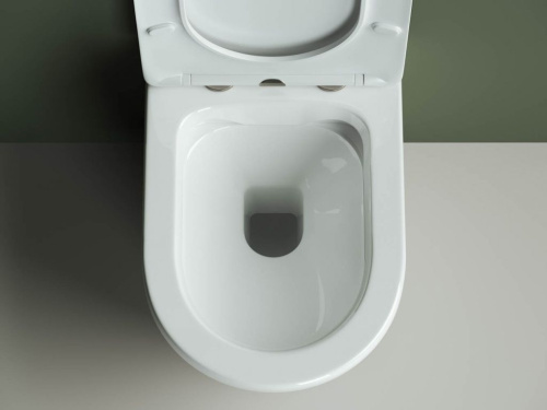 Унитаз подвесной Ceramica Nova Highlight CN1804 с микролифтом, безободковый фото 9