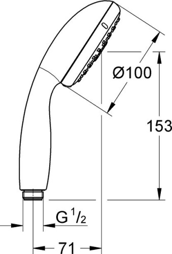 Душевая лейка Grohe Tempesta New 28261002 фото 2