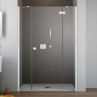 Душевая дверь в нишу Radaway Essenza New DWJS 110 R