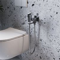 Гигиенический душ Paini Bella BLCR442 со смесителем, С ВНУТРЕННЕЙ ЧАСТЬЮ, хром