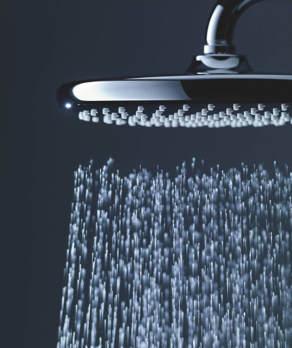 Верхний душ Grohe Tempesta 250 26662000 хром фото 4