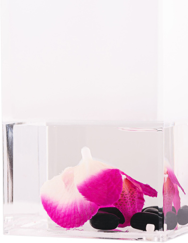 Дозатор Verran Phalaenopsis 870-19 фото 6