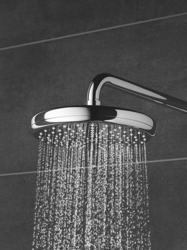 Верхний душ Grohe Tempesta 26409000 фото 3