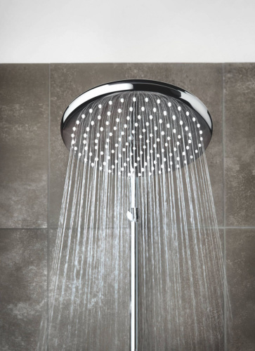Верхний душ Grohe Tempesta 250 26662000 хром фото 3