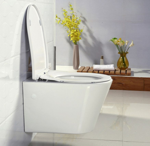 Крышка-сиденье BelBagno BB2031SC с микролифтом, петли хром фото 6