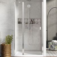 Душевая дверь в нишу Radaway Nes DWJ II 90 L