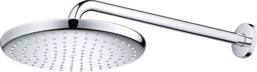 Верхний душ Grohe Tempesta 250 26668000 фото 3