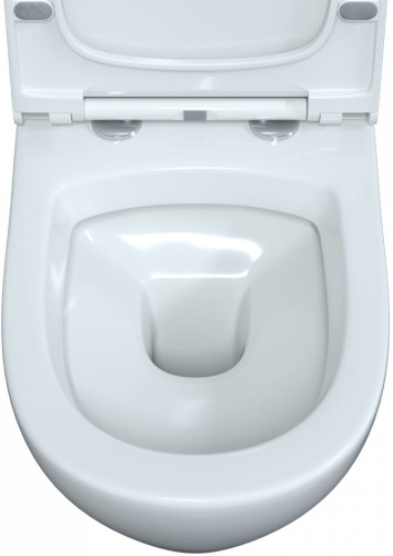 Унитаз подвесной Berges Wasserhaus Okus 082127 с микролифтом фото 3
