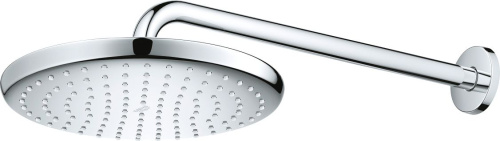 Верхний душ Grohe Tempesta 250 26663000 фото 4