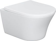 Унитаз подвесной Damixa Skyline DX35C1700SC с микролифтом