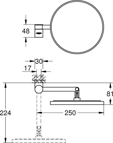 Косметическое зеркало Grohe Selection 41077000 хром фото 3