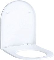 Крышка-сиденье Geberit Acanto 500.605.01.2