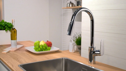 Смеситель Hansgrohe Focus 31815000 для кухонной мойки фото 9