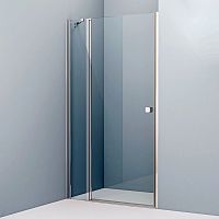 Душевая дверь в нишу IDDIS Ray RAY6CP1i69 110 см