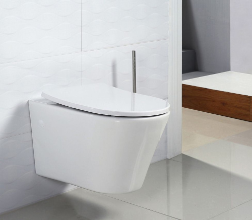 Крышка-сиденье BelBagno BB2031SC с микролифтом, петли хром фото 4