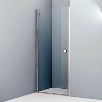 Душевая дверь в нишу IDDIS Ray RAY6CP9i69 90 см