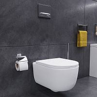 Унитаз подвесной Damixa Sirius DX86C1700SC с микролифтом