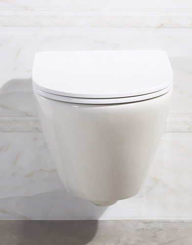 Крышка-сиденье BelBagno Alpha BB2177SC с микролифтом фото 3