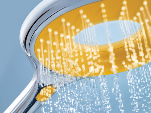 Душевая лейка Grohe Rainshower Icon 27446000 фото 16