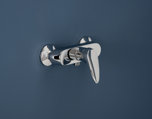 Смеситель Aquanet Round Handle SD90707 для душа фото 2