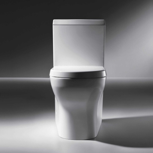 Унитаз-компакт Bravat Rael с микролифтом фото 3