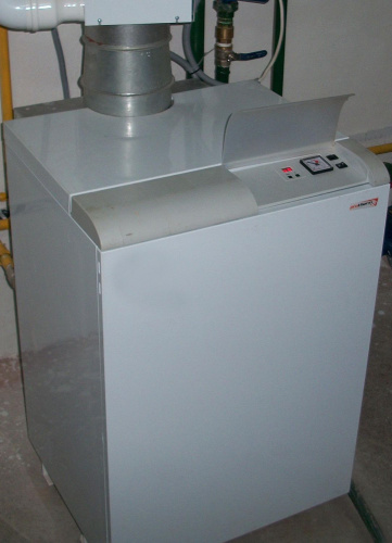 Газовый котел Protherm Медведь 40 TLO (35 кВт) фото 4