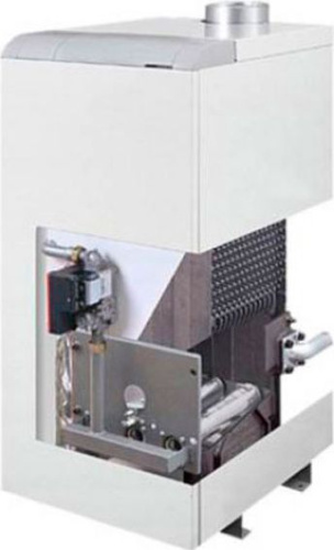 Газовый котел Protherm Медведь 30 PLO (26 кВт) фото 4