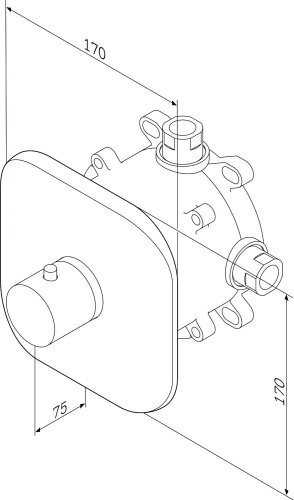 Термостат AM.PM Sensation F3075500 фото 6