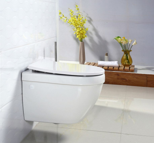Крышка-сиденье BelBagno BB2031SC с микролифтом, петли хром фото 3