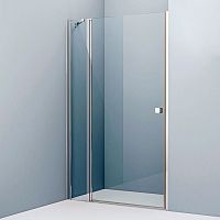 Душевая дверь в нишу IDDIS Ray RAY6CP2i69 120 см