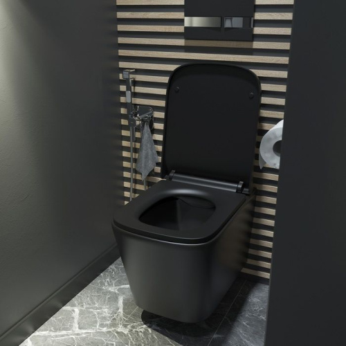 Унитаз подвесной IDDIS Bild BILR2BMi25 безободковый, с микролифтом фото 6