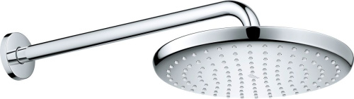 Верхний душ Grohe Tempesta 250 26663000 фото 2